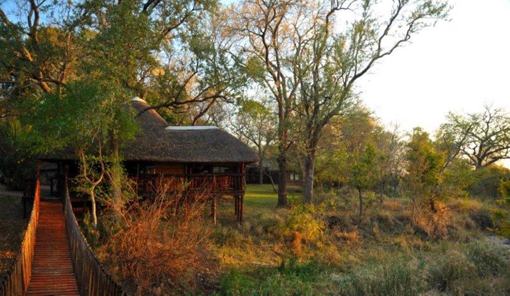 Idube Game Reserve Sabi Sand Game Reserve Cameră foto